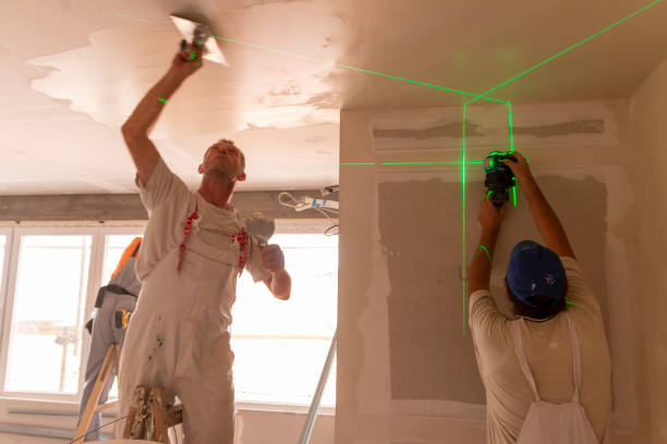 Best Drywall Installation  in Burlington, WI